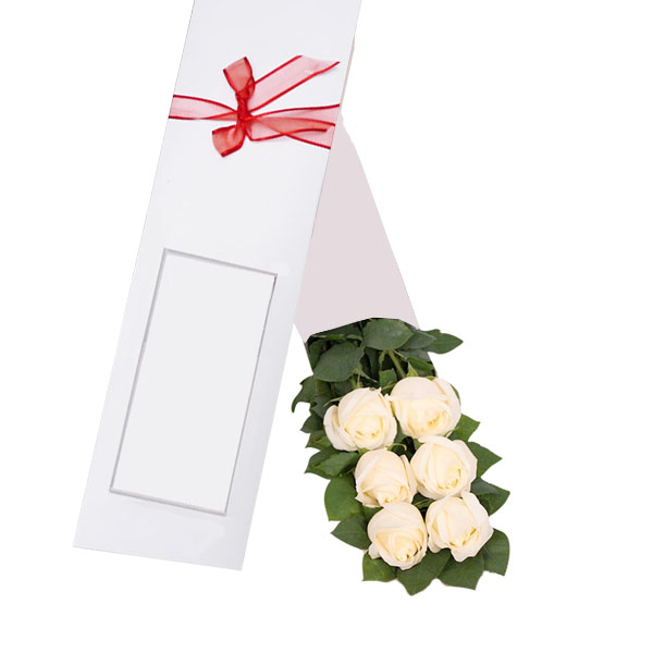 Caja 6 Rosas Blancas 